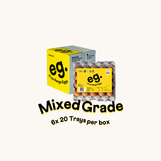 Brand Ambassador Mixed Grade Box