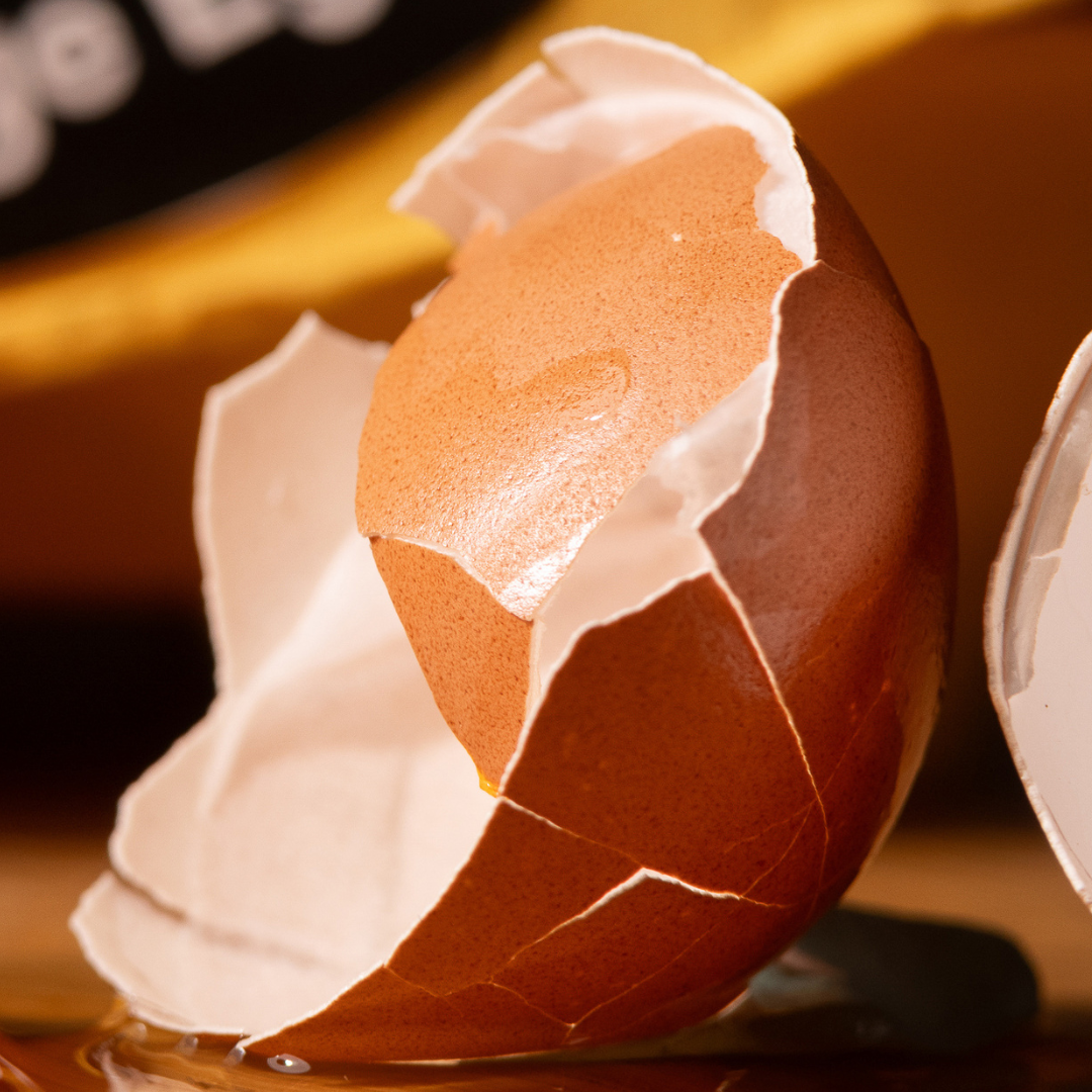 Eggducation. – eg.