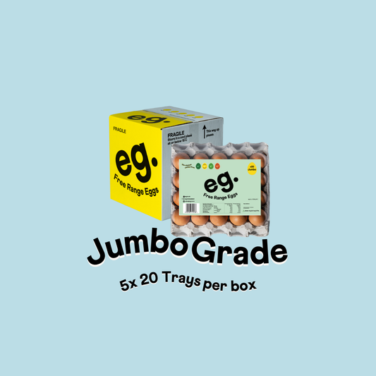Brand Ambassador Jumbo Grade Box