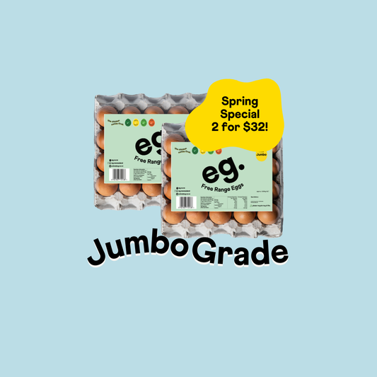 (Jumbo) 20 Tray *Spring Special, buy 2 and save!*