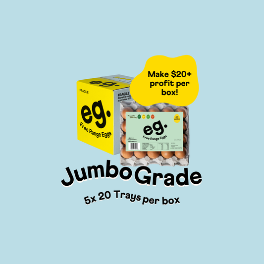 Fundraising Product Jumbo Grade Box
