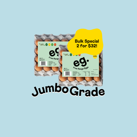 (Jumbo) 20 Tray *Special, buy 2 and save!*