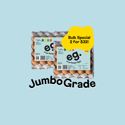 (Jumbo) 20 Tray *Special, buy 2 and save!*