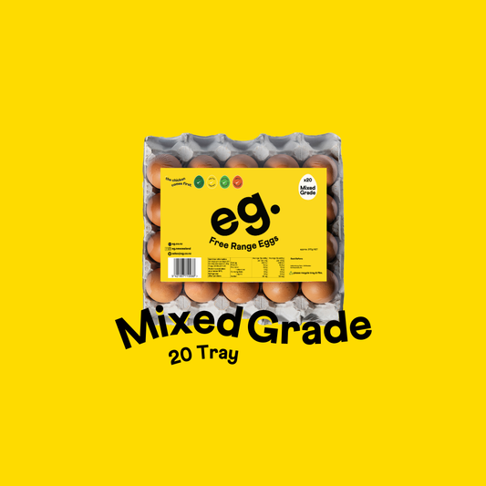 Bulls Medical 20 Tray Mixed