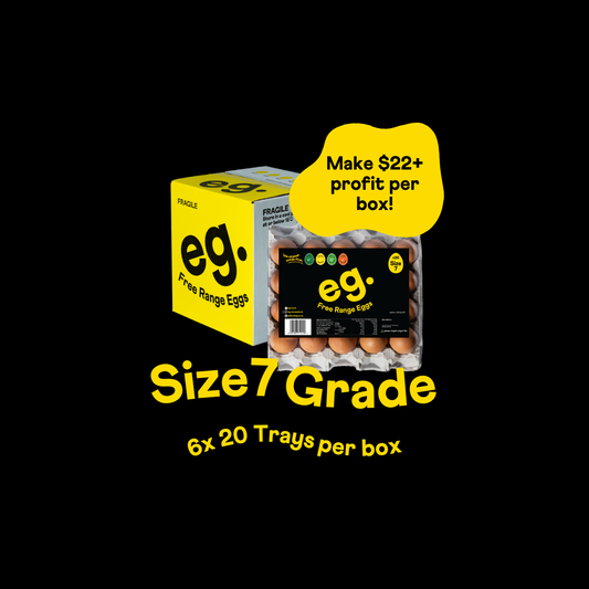 Fundraising Product Size 7 Grade Box